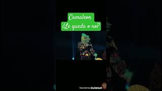 Camaleon cantando quotMuerte en Hawáiiquot de Calle 13 musica quieneslamascara [upl. by Ahaelam]