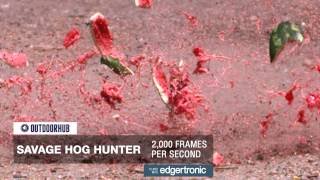 Savage A17 and Savage Hog Hunter Firing in Slow Motion [upl. by Llemej]