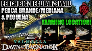 ASSASSINS CREED VALHALLA DAWN OF RAGNAROK PERCH BIGREGULARSMALL FARMING LOCATIONFARMEANDO PERCA [upl. by Olim358]