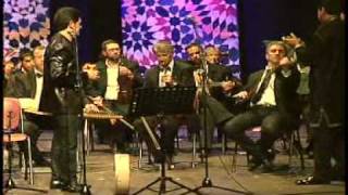 quotLAmerican Medleyquot  The Mediterranean  Andalusian Orchestra Feat Mike amp sammy Karouchi [upl. by Germano]