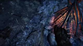 Survival 101 Starting A Fire  Far Cry Primal  Xbox One [upl. by Ines]