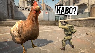 Необычные консольные команды csgo [upl. by Peder187]