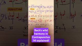 Bachs wild harmony in Contrapunctus XIV explained bach analysis musictheory shorts fuga [upl. by Anavlys547]