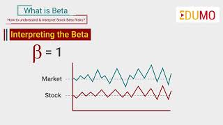 What is Beta In Stocks How to Understand amp Interpret stock Beta risks  Motilal Oswal [upl. by Xylina]