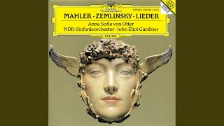 Mahler RückertLieder Ich bin der Welt abhanden gekommen [upl. by Swainson]