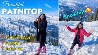 Patnitop Hill Station  Sundar Nagar  Natha Top  Jammu Road Trip  Budget Tour full Information [upl. by Alekehs]