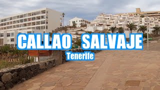 Callao Salvaje Tenerife Spain 🇪🇸 4K Walking Tour [upl. by Asertal]