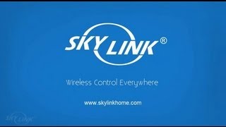 Introducing Skylink [upl. by Jadda]