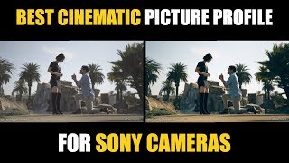 Best Picture Profile Settings for Cinematic Video on Sony Cameras  a7iii a6400 a6600 [upl. by Anahs]