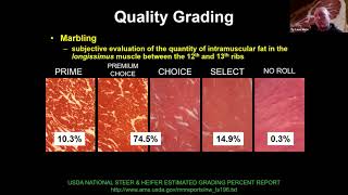 Beef Carcass Quality amp Grading with Ty Lawrence [upl. by Flemming814]