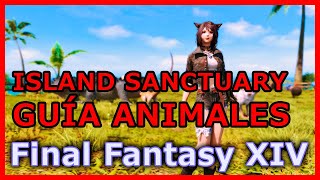 FFXIV Endwalker  Island Sanctuary  GUÍA DE ANIMALES [upl. by Allehcram193]