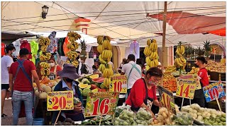 Miércoles De Plaza En Actopan Hidalgo [upl. by Oaks492]