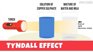 Tyndall Effect Animation  Explanation and Experiment CBSE 9th [upl. by Camroc]