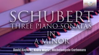 Schubert Three Piano Sonatas in A Minor [upl. by Malchy206]