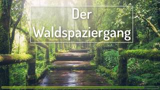 Geführte FantasieTraumreise Meditation  Spaziergang durch den Wald EntspannungEinschlafen [upl. by Fawnia]