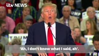 Donald Trump appears to mock a reporters disability [upl. by Dyane]