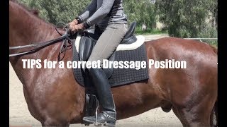 Tips for a Correct Dressage Position [upl. by Sheets]