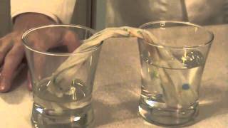 Capillary Action Experiment [upl. by Silado138]