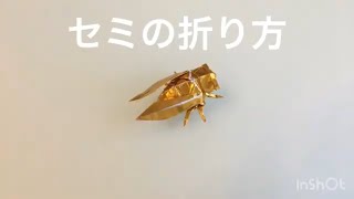 折り紙 セミ Origami Cicada 折り方 tutorial [upl. by France252]