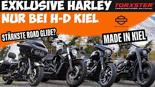 Exklusiv bei HD Kiel😱 Diese Harley findest du bei KEINEM anderen Händler 🔥 [upl. by Names]