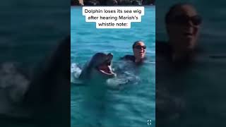 Mariah Carey sings to Dolphin with crazy high whistles and scares Dolphin away iconic mariahcarey [upl. by Hook]