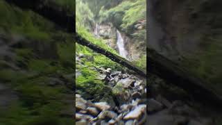 Pangot Hidden Waterfall  Pangot Nainital  Trip Engineers [upl. by Siegler]