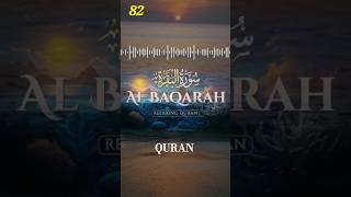 SURAH ALBAQARAH PAGE 82 shortfeed surahalbaqarah urduqurantranslation shorts [upl. by Onid]