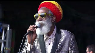 Don Carlos  Just A Passing Glance Live at California Roots 2019 [upl. by Yalahs559]