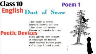 Dust of Snow  Poetic Devices  All Poetic Devices In The Poem Dust of Snow Class 10th CBSE [upl. by Yrian]