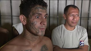 KPRC2s Jacob Rascon shares a closer look at the deadly MS13 gang [upl. by Adnamar]