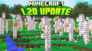 16 NEW Features Coming in the Minecraft 120 Update [upl. by Aroda]