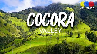 Cocora Valley Colombia Tour  Traveling Colombia [upl. by Ailsun]