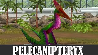 PELECANIPTERYX MAX LEVEL 40  Jurassic World The Game [upl. by Mendelsohn]