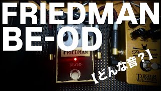 【どんな音？】 FRIEDMAN BEOD [upl. by Oiralednac]