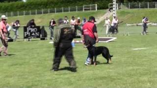 Beauceron Nationale d Elevage 2009 Ring 3 2 partie [upl. by Aundrea706]