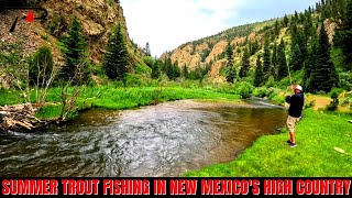 Summer Trout Fishing in the New Mexico High Country [upl. by Samled]