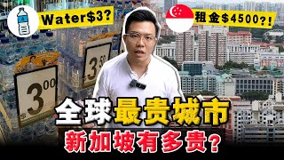 实测新加坡生活，月薪多少才可以生存？买房比租房便宜，房东还坐地起价？！ [upl. by Seth]