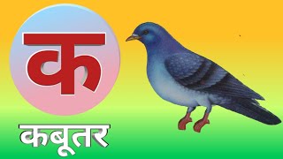 क से कबूतर  K se Kabutar  Hindi Varnamala Song [upl. by Alene]