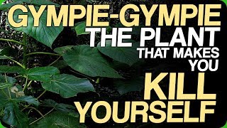 GympieGympie  The Plant That Makes You Kill Yourself Our Most Painful Experiences [upl. by Sorenson206]