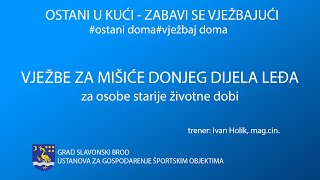 48 Vježbe za mišiće donjeg dijela leđa  za osobe starije životne dobi [upl. by Aciretnahs]