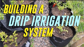 EASY DRIP IRRIGATION How to build a garden watering system with multiple zones [upl. by Dlanod649]