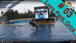 Teneiffa doku Loro Park Teneriffa Orca Ocean dieser Theme Park ist der Hammer [upl. by Notniuqal]