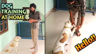 How to Train Pet Dog at Home [upl. by Samanthia]