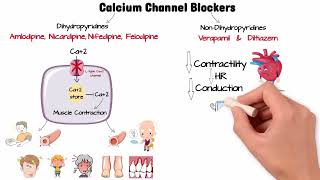 Pharmacology  Hypertension amp Antihypertensive Medications [upl. by Matthias]