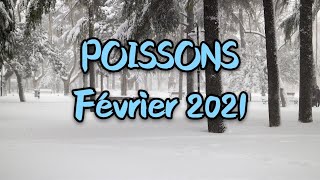 ♓ POISSONS Février 2021 ♓ [upl. by Timothy676]