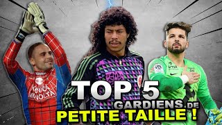 TOP 5 DES GARDIENS DE 180M PETITES TAILLES [upl. by Ebner693]