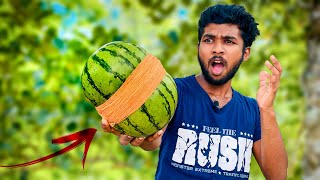 රබර්පටිවලින් කොමඩු ගෙඩිය පුපුරවමුද WATERMELON vs 500 RUBBER BANDS CHALLENGE  Exploding Watermelon [upl. by Salangi]