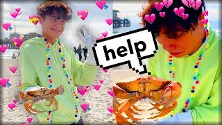 I TOOK A LIVE CRAB ON A DATE [upl. by Leahcam]