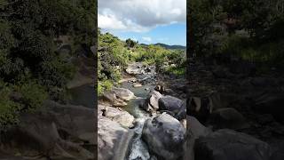 Charco El Hippie en Naguabo Puerto Rico hike waterfall cliffjumping explore travel nature [upl. by Uuge]