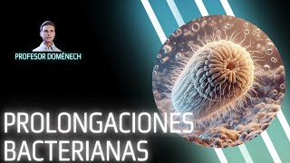 Prolongaciones bacterianas FLAGELOS FIMBRIAS y PELOS [upl. by Ushijima]